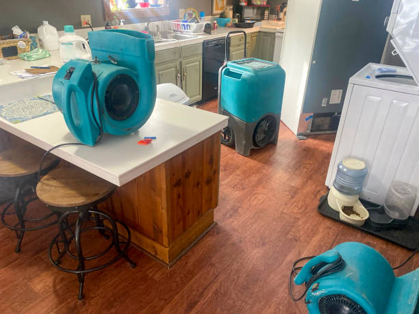 Best Flood restoration services  in Mililani Town, HI