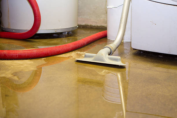 Best Water damage cleanup near me  in Mililani Town, HI