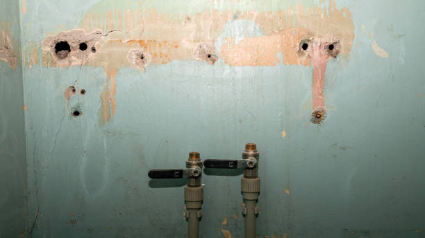 Best Mold removal after water damage  in Mililani Town, HI