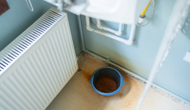 Best Water damage restoration near me  in Mililani Town, HI