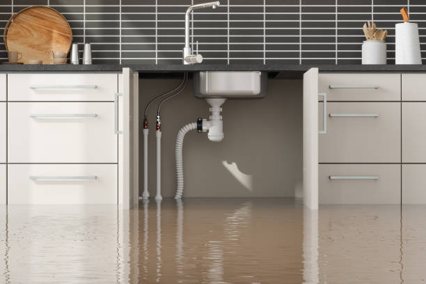 Best Local water damage restoration  in Mililani Town, HI